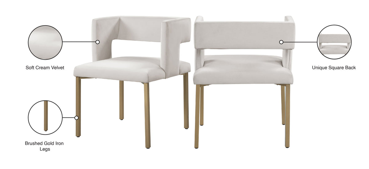 Caleb - Dining Chair with Gold Legs (Set of 2)