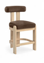 Arienzo - Velvet Performance Fabric Upholstered Counter Stool (Set of 2)