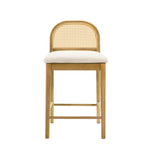 Lucio - Modern Farmhouse Wood Counter Height Kitchen Bar Stool