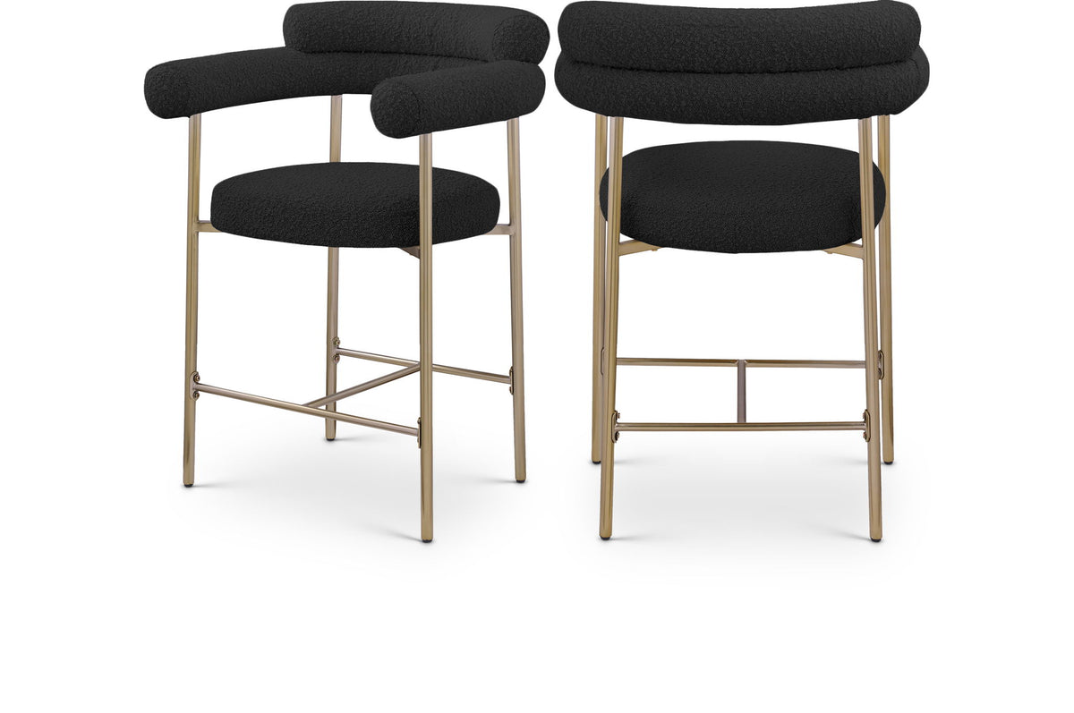 Blake - Counter Stool (Set of 2)