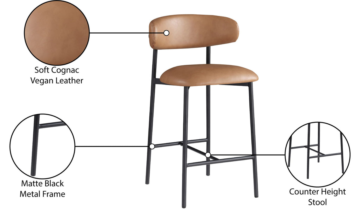 Lupita - Counter Stool (Set of 2)