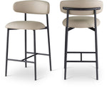 Lupita - Counter Stool (Set of 2)