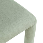 Amari - Chenille Fabric Dining Chair (Set of 2)