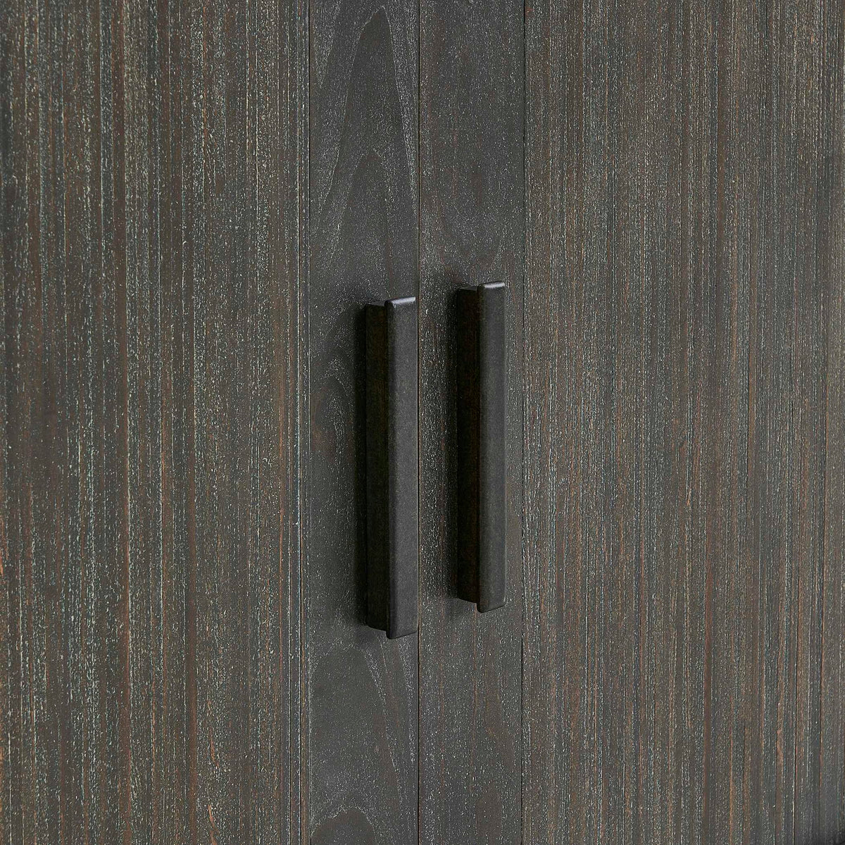 Drury - 2 Door Cabinet - Dark Gray