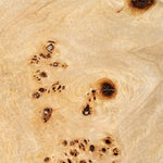 July - Modern Mapa Burl Round Coffee Table by VIG Furniture - View 3