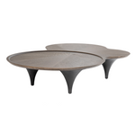 Beulah - Modern Free Form Dark Ash Coffee Table by VIG Furniture - View 4