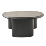 Summit - Modern Ash Coffee Table Set by VIG Furniture - View 4
