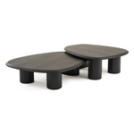 Summit - Modern Ash Coffee Table Set by VIG Furniture - View 1