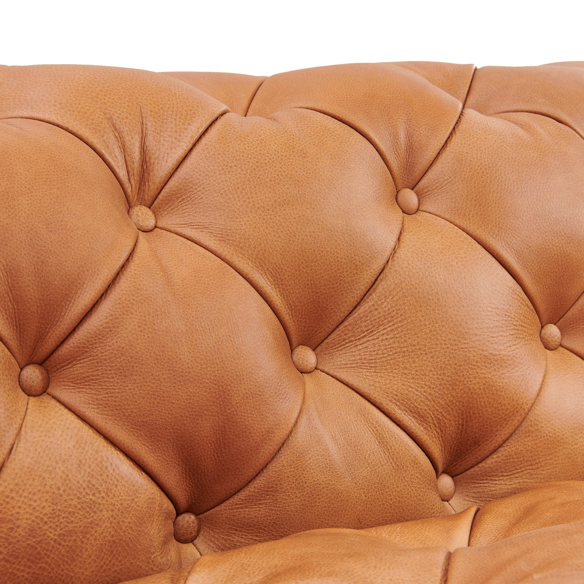 Dexter - Transitional Camel Full Italian Leather 3-Seat Sofa by VIG Furniture - View 5