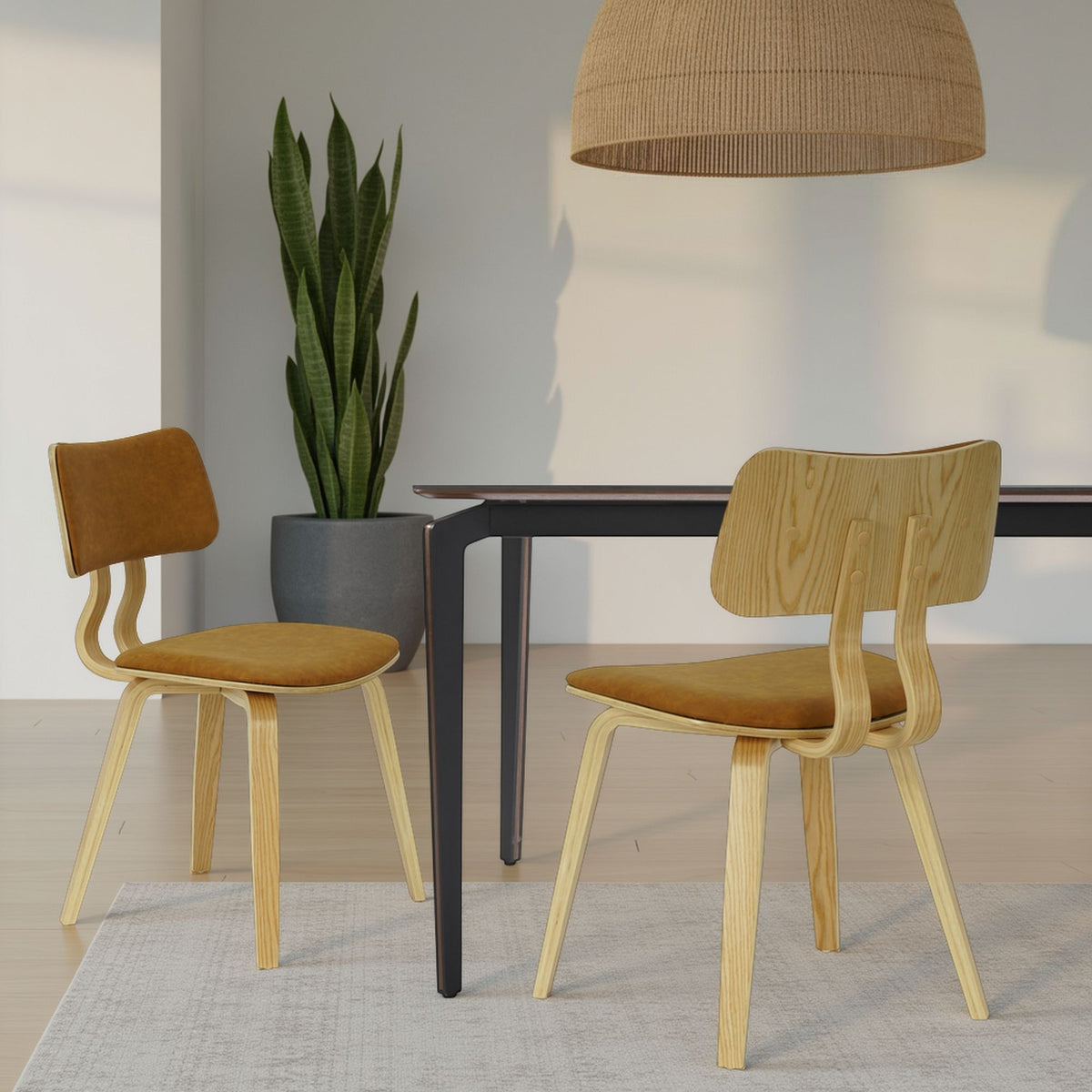Jaguar - Curved Back Wood Dining Chair With Faux Leather Seat