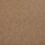 Santos - Upholstered Counter Stool With Stained Natural Base