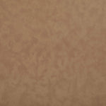 Santos - Vegan Leather Upholstered Dining Chair With Stained Natural Base (Set of 2)
