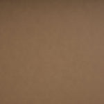 Everett - Vegan Leather Upholstered Loveseat