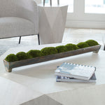 Canal - Moss Centerpiece