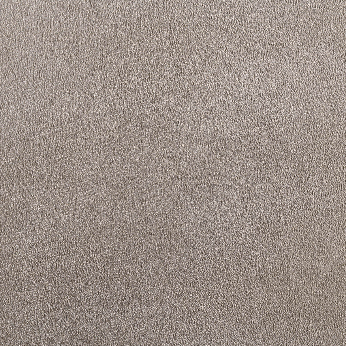 Relax - Velvet 77.75" Upholstered Sofa