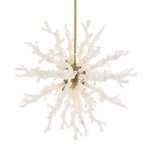 Coral Reef - 8 Light Pendant - Brass