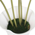 Muse - Monstera Vase Centerpiece - Green / White