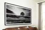 Deborland - Wall Art - Black / White