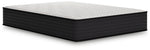 Limited Edition Plush - Mattress