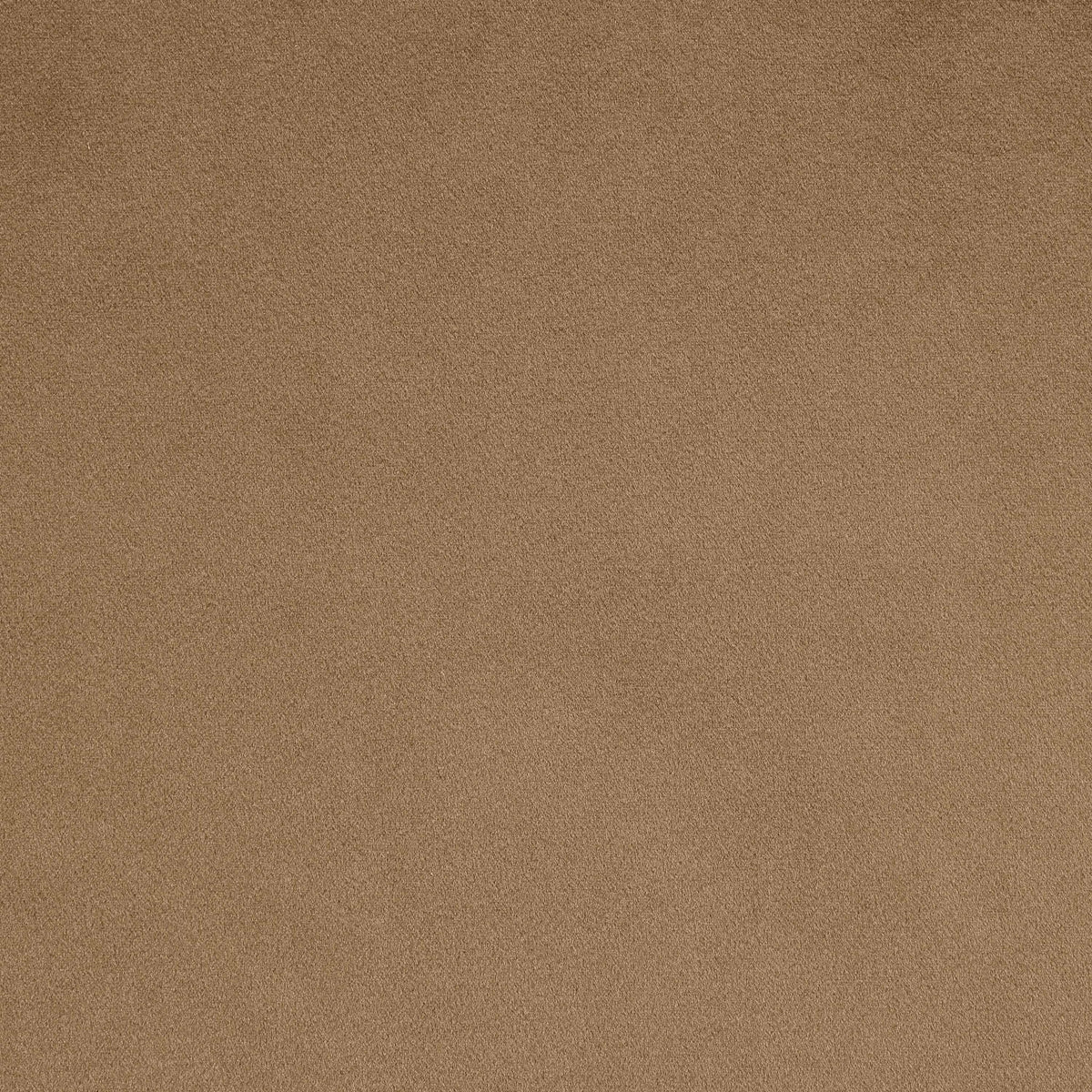 Austin - Velvet Chair