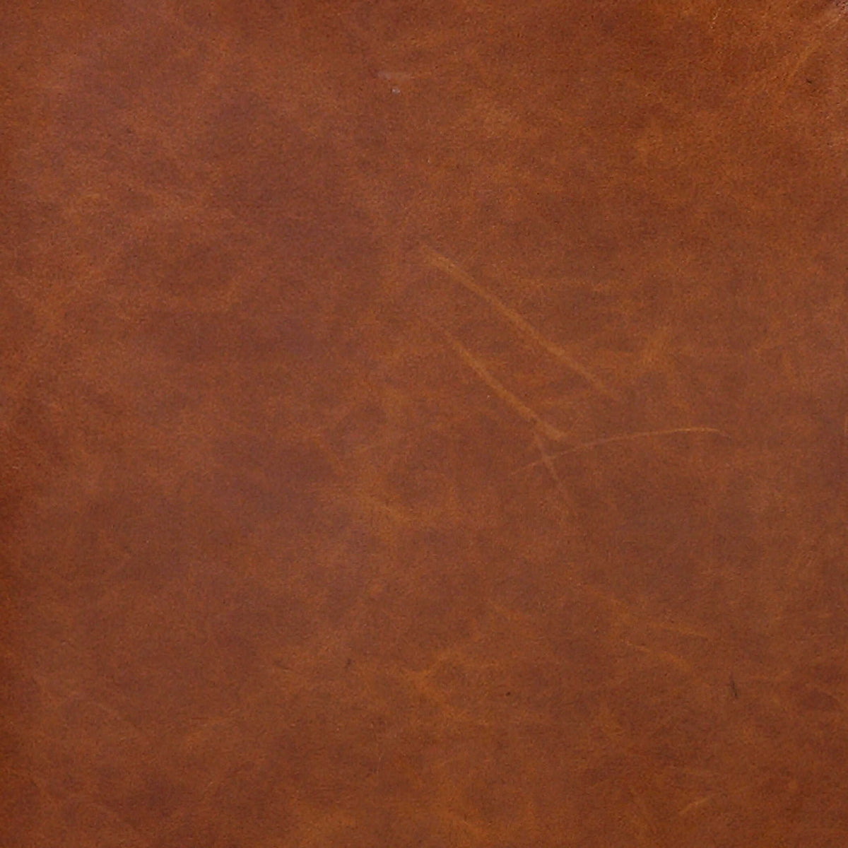 Roosevelt - Sofa - Cognac