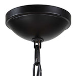 Lakeside - Indoor-Outdoor 1 Light Pendant - Black