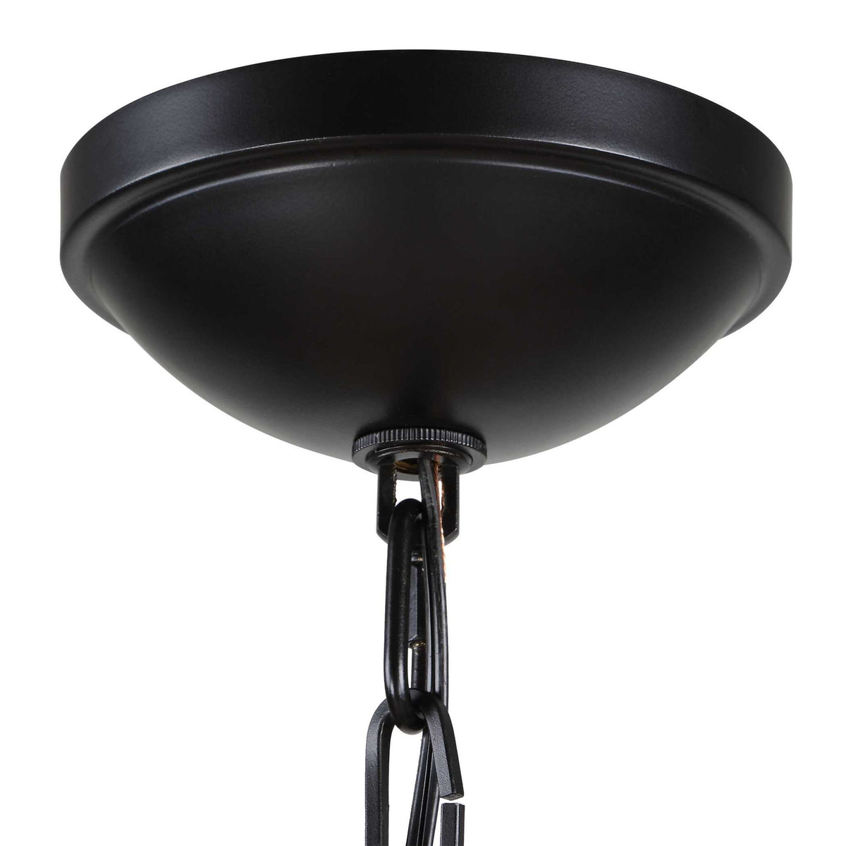 Lakeside - Indoor-Outdoor 1 Light Pendant - Black