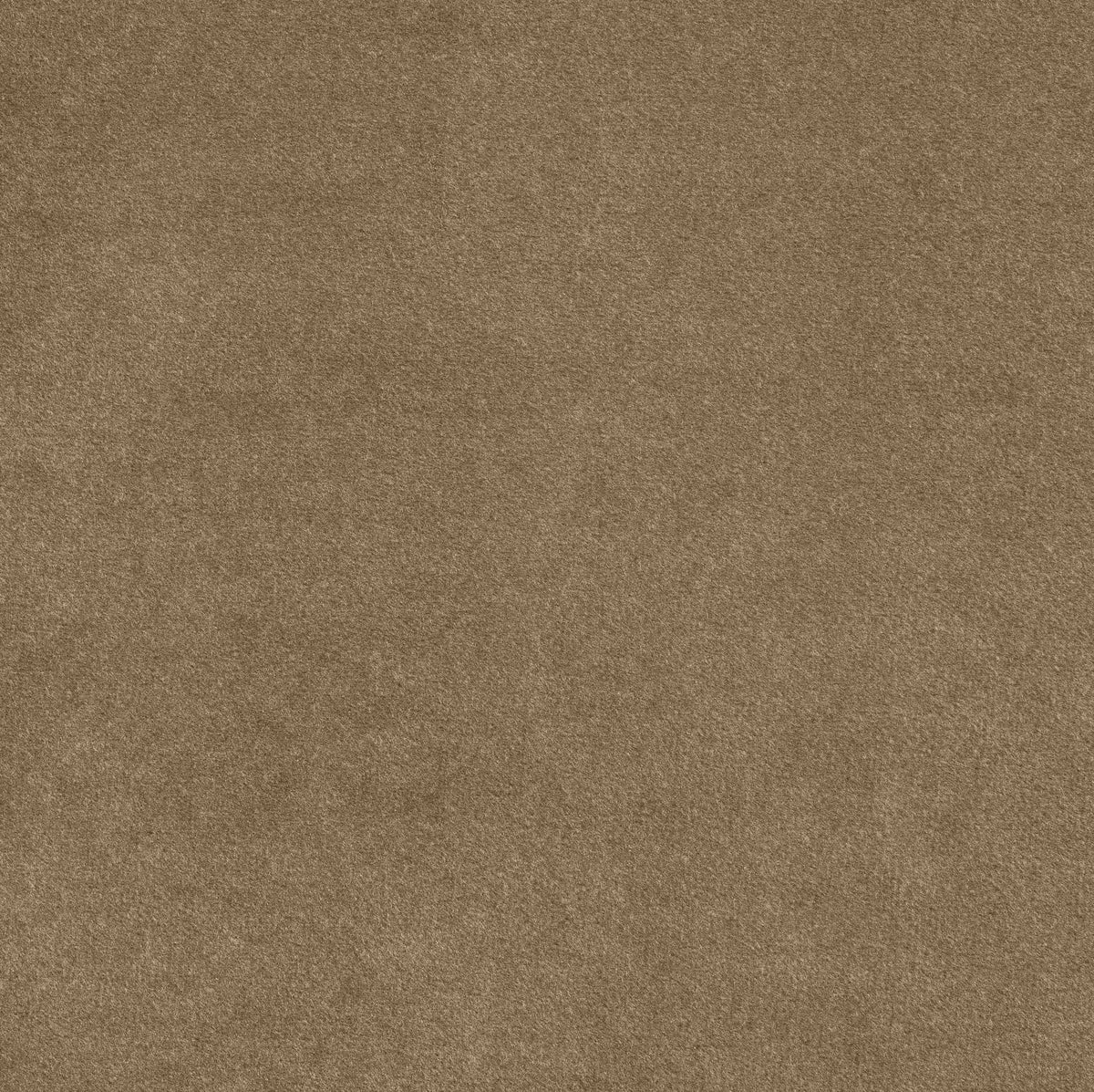 Tempo - Velvet Upholstered Bed