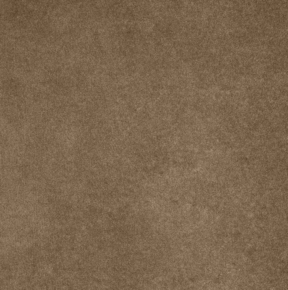 Tempo - Velvet Upholstered Bed