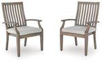 Rainier Ranch - Arm Chair With Cushion (Set of 2) - Brown / Beige