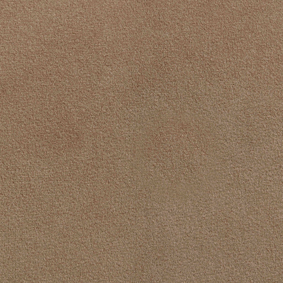 Cedra - Velvet Performance Fabric Upholstered Accent Chair - Brown Frame