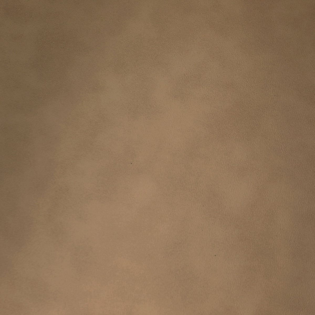Mallina - Loveseat - Tan