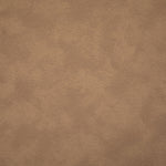 Santos - Upholstered Counter Stool With Stained Brown Base