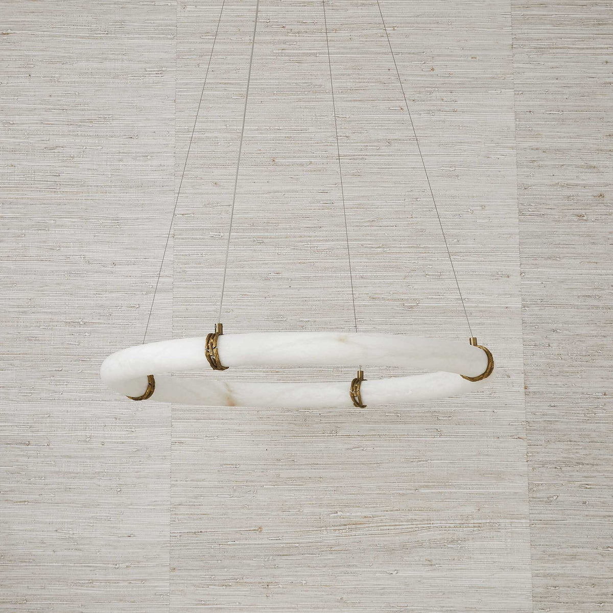 Entangled Vine - 1 Light Pendant - Brass