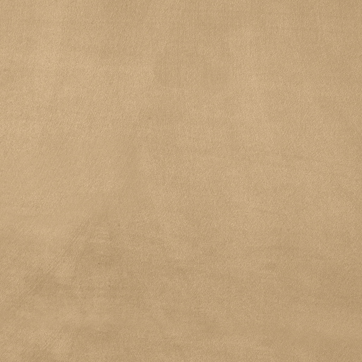 Kendall - Velvet Upholstered Bed