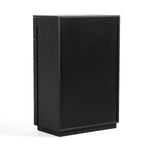 Aspen - Modern Matte Brown Ash & Silver Chest by VIG Furniture - View 8