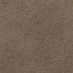 Navi - Loveseat - Fossil