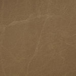 Sylvan - Vegan Leather Dining Chair (Set of 2) - Natural Frame