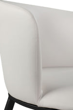 Skylar - Dining Chair (Set of 2)