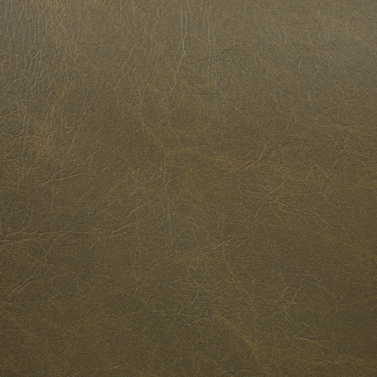 Sylvan - Vegan Leather Dining Chair (Set of 2) - Natural Frame