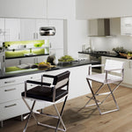 Director - Stainless Steel Barstool