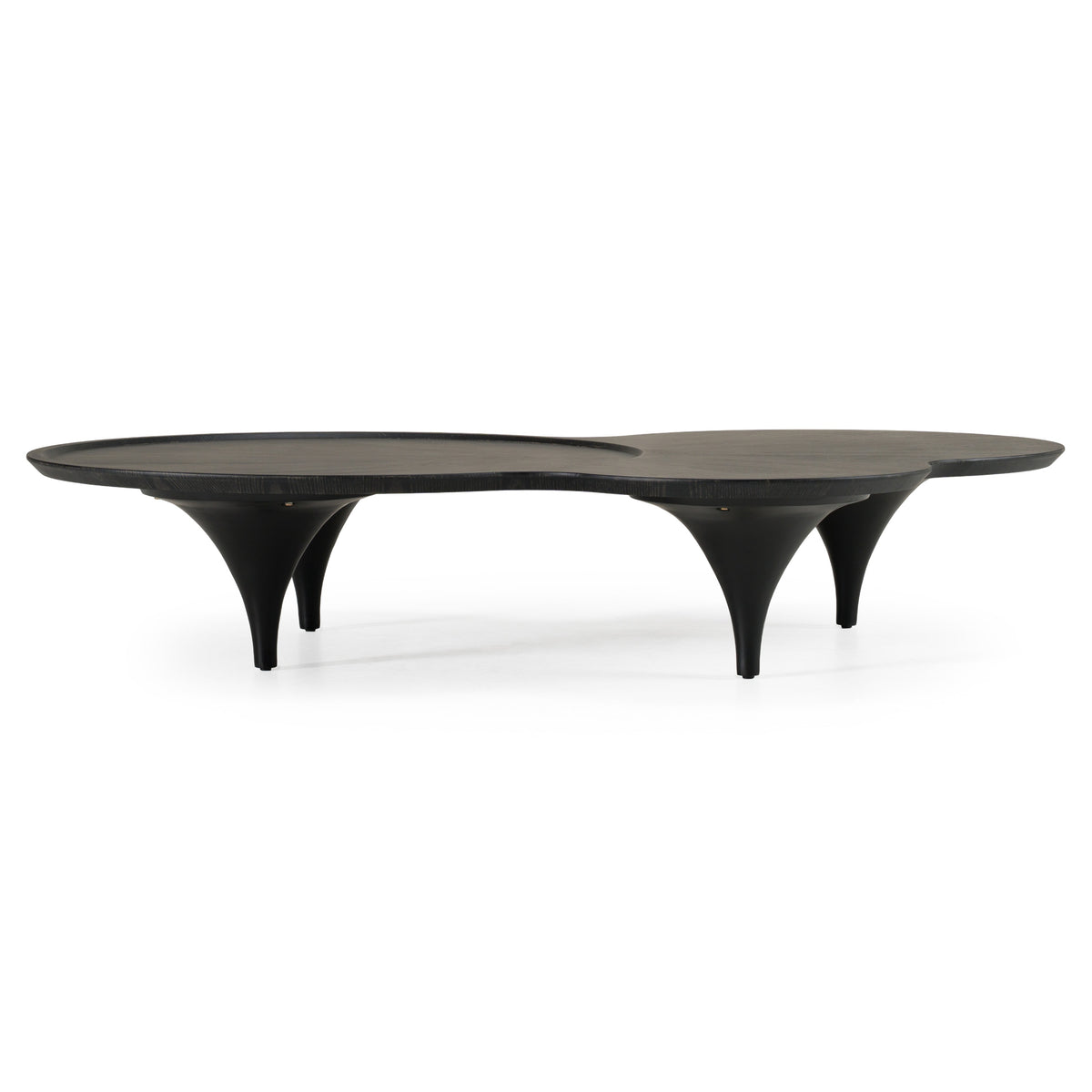 Beulah - Modern Free Form Black Ash Coffee Table by VIG Furniture - View 1