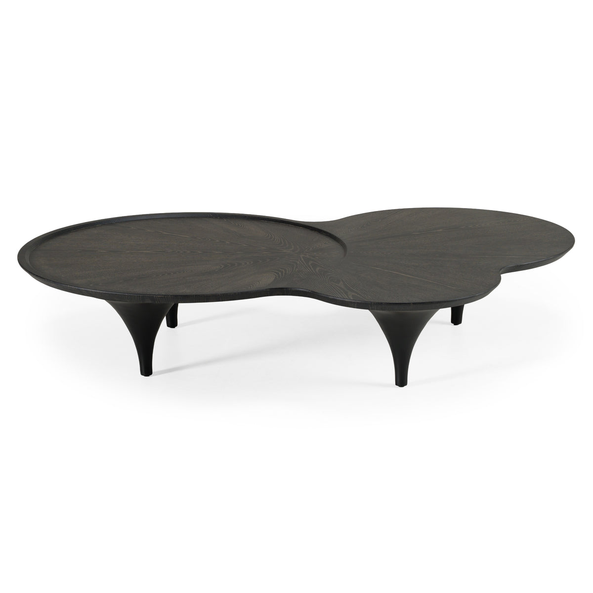 Beulah - Modern Free Form Black Ash Coffee Table by VIG Furniture - View 2