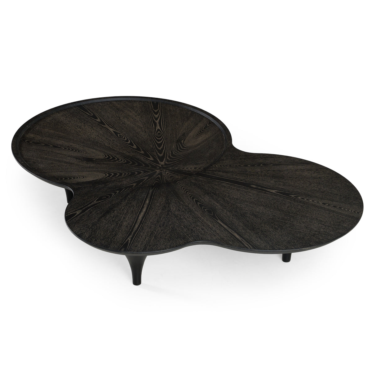 Beulah - Modern Free Form Black Ash Coffee Table by VIG Furniture - View 4