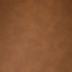 Blake - Faux Leather Dining Chair (Set of 2)