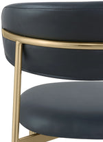 Lupita - Dining Chair With Brushed Gold Legs (Set of 2)