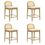 Lucio - Modern Farmhouse Wood Counter Height Kitchen Bar Stool