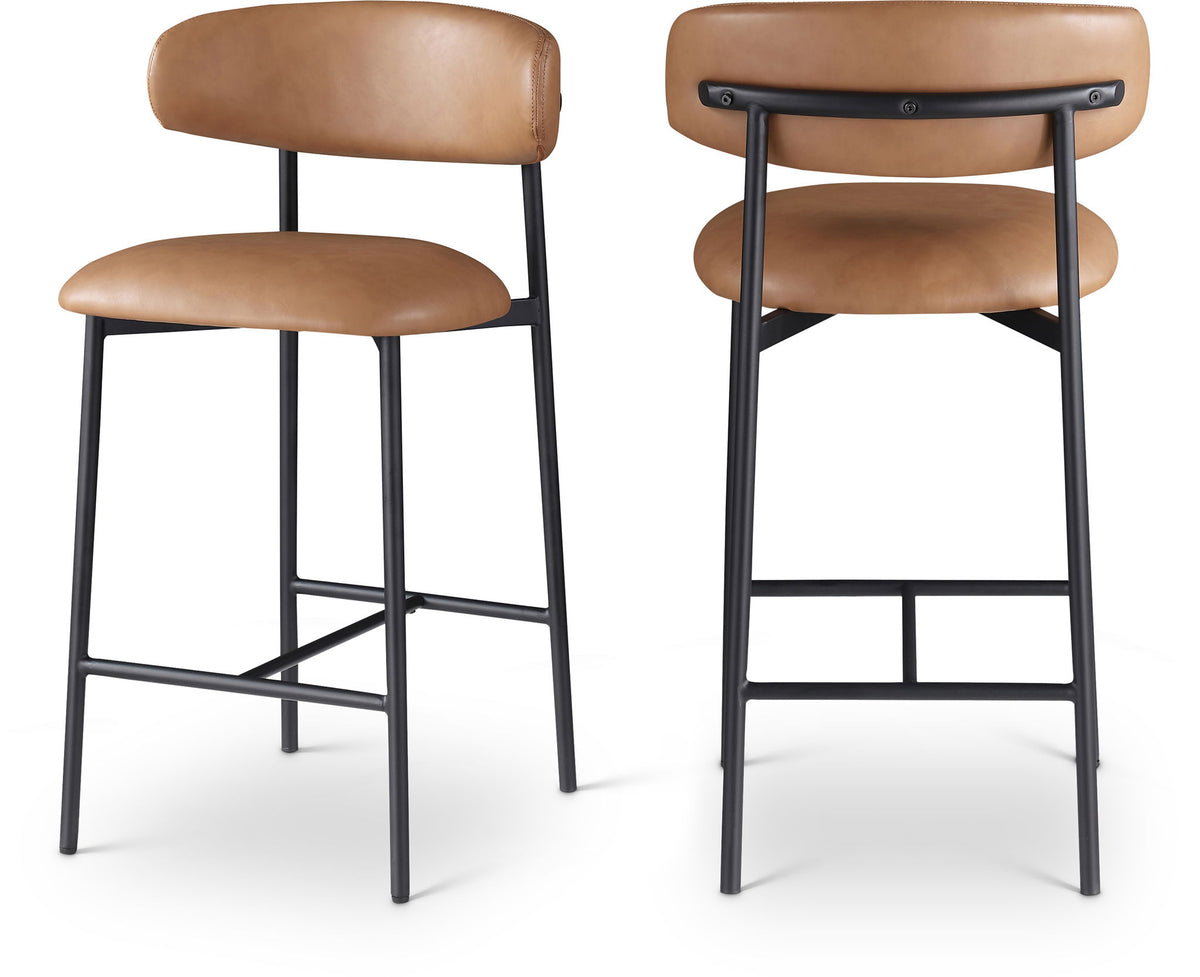 Lupita - Counter Stool (Set of 2)