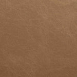 Ravina - Upholstered Dining Chair With Stained Natural Base (Set of 2)