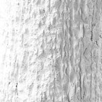 Hollen - Stone Accent Table - White